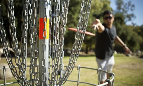 A Comprehensive Guide To Disc Golf: Everything You Need To Know