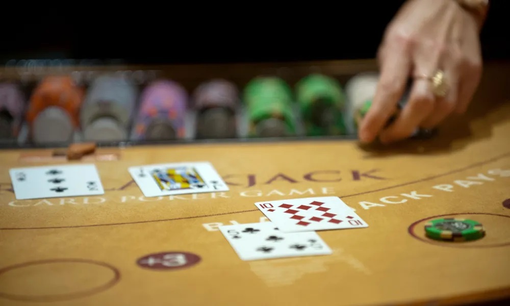 Online dummy spades – A quick guide for beginners