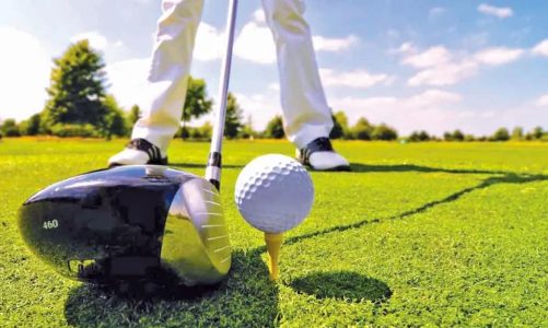 Top 10 Tips On The Compatibility & Fit of Golf Club Headcovers